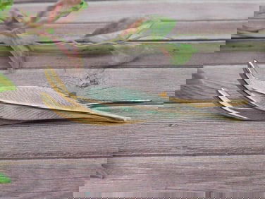 Gold-Toned Hair Clip with Leaf Design