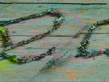 SHELL BEADS ROCK STONE LAPIDARY SPECIMEN