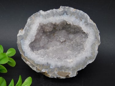 COCONUT GEODE ROCK STONE LAPIDARY SPECIMEN