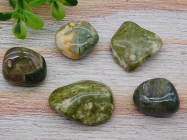 MIXED LOT ROCK STONE LAPIDARY SPECIMEN