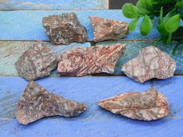 LEOPARD SKIN JASPER ROCK STONE LAPIDARY SPECIMEN