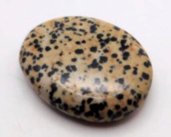 DALMATION JASPER ROCK STONE LAPIDARY SPECIMEN