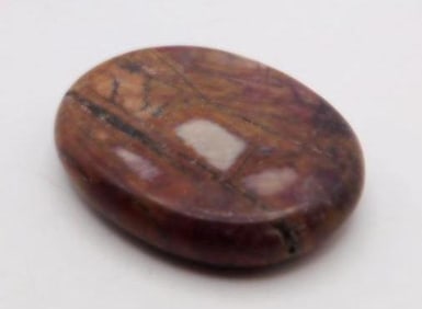 NETWORK JASPER AGATE ROCK STONE LAPIDARY SPECIMEN