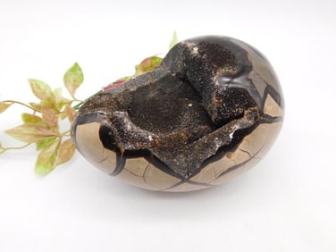 Polished Septarian Geode with Crystal Interior