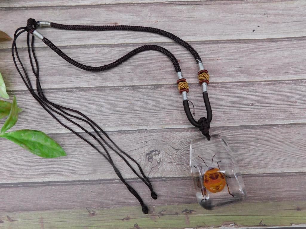 Insect Pendant in Clear Resin on Adjustable Cord Necklace: Insect Pendant in Clear Resin on Adjustable Cord Necklace