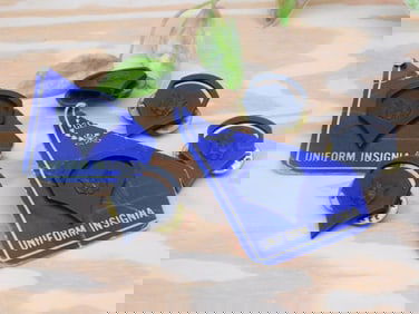 Set of Military Uniform Insignia Pins with Backings