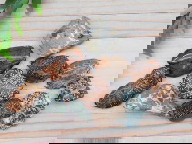 Mixed Tumbled Stones Rock Stone Lapidary Specimen