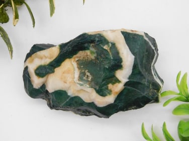 Polished Stone Specimen with Green and White Patterns Rock Stone Lapidary Specimen