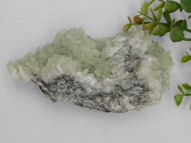 Prehnite Rock Stone Lapidary Specimen
