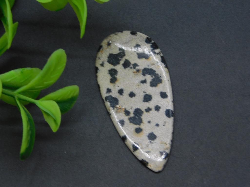DALMATION JASPER CABOCHON ROCK STONE LAPIDARY SPECIMEN: DALMATION JASPER CABOCHON ROCK STONE LAPIDARY SPECIMEN