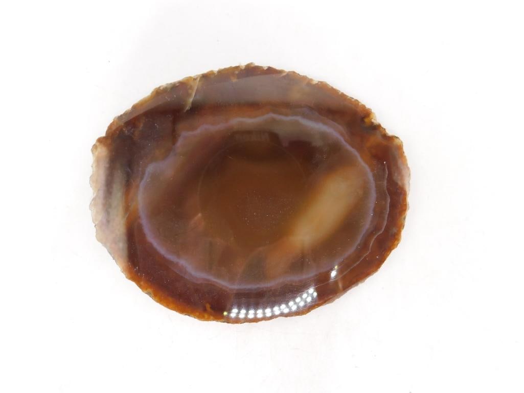 AGATE SLICE ROCK STONE LAPIDARY SPECIMEN: AGATE SLICE ROCK STONE LAPIDARY SPECIMEN