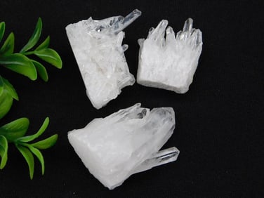 Three Clear Quartz Crystal Clusters Lot Rock Stone Lapidary Specimen