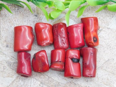 RED CORAL ROCK STONE LAPIDARY SPECIMEN