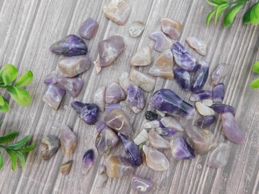 ROYAL AZTEC LACE ROCK STONE LAPIDARY SPECIMEN