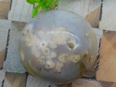 HATMANS FLOWER PETAL AGATE ROCK STONE LAPIDARY SPECIMEN