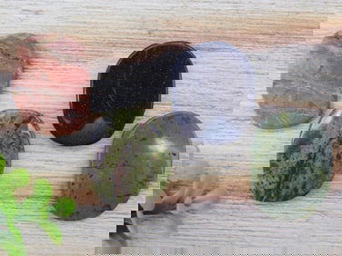 MIXED LOT ROCK STONE LAPIDARY SPECIMEN