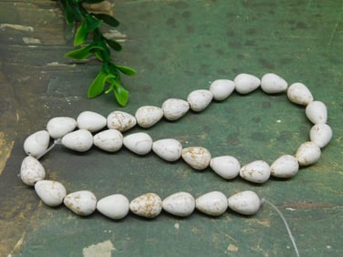 SHELL BEADS ROCK STONE LAPIDARY SPECIMEN