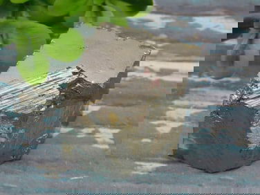 ILLUSTRIOUS SPANISH PYRITE CUBE ROCK STONE LAPIDARY SPECIMEN