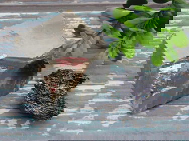 MIXED LOT ROCK STONE LAPIDARY SPECIMEN