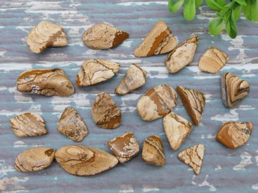 PICTURE JASPER ROCK STONE LAPIDARY SPECIMEN