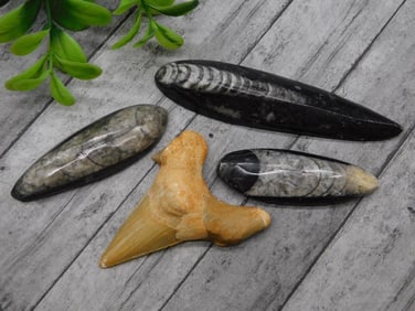 MIXED LOT ROCK STONE LAPIDARY SPECIMEN