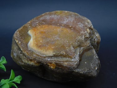 BRAZILIAN AGATE ROCK STONE LAPIDARY SPECIMEN