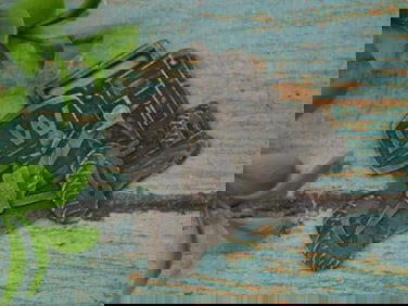 Metal Tractor WATCH FOB with LW Design