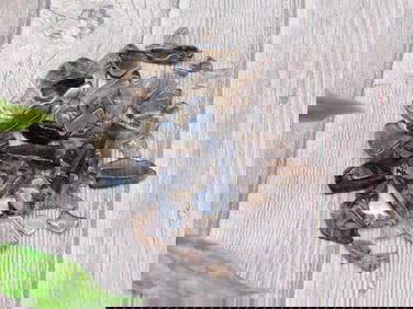 Smokey Quartz Gemstones 12 Grams