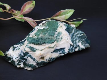 Polished Green and White Rock Specimen