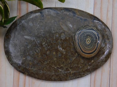 Oval Polished Agate with Concentric Eye Detail ROCK STONE LAPIDARY SPECIMEN