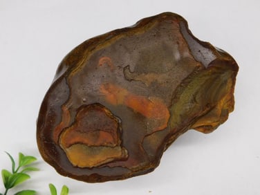 Brazilian Agate Rock Stone Lapidary Specimen