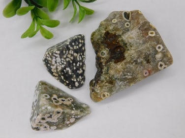 Ocean Jasper Rock Stone Lapidary Specimen