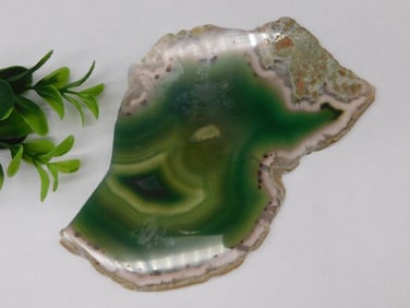 Agate Slice Rock Stone Lapidary Specimen