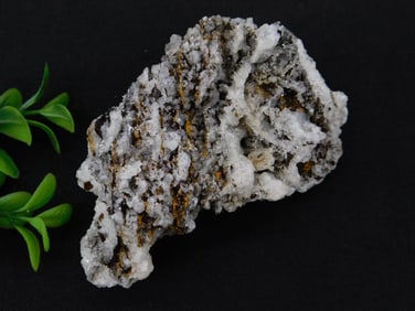 Chalcedony Rock Stone Lapidary Specimen