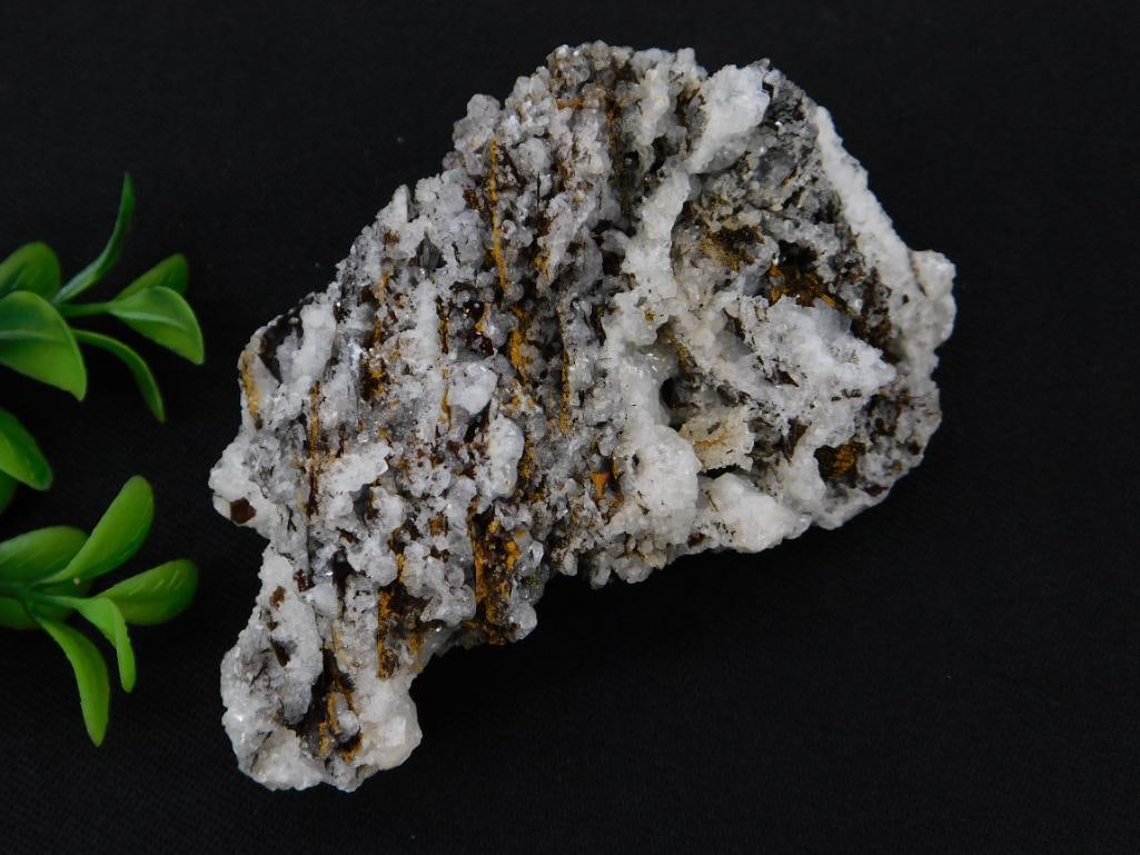 Chalcedony Rock Stone Lapidary Specimen: Chalcedony Rock Stone Lapidary Specimen