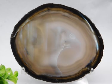 Agate Slice With  Banding ROCK STONE LAPIDARY SPECIMEN