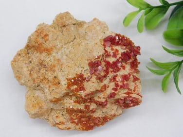 Vanadinite Rock Stone Lapidary Specimen