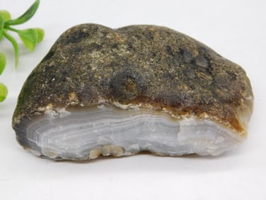 Black Skin Agate Rock Stone Lapidary Specimen