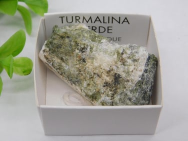 Green Tourmaline Mineral Specimen in Display Box ROCK STONE LAPIDARY SPECIMEN