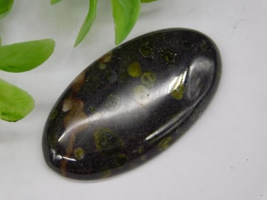 Epidote Cabochon Rock Stone Lapidary Specimen