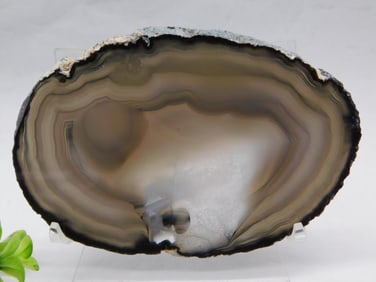 Agate Slice with Banded Layers ROCK STONE LAPIDARY SPECIMEN