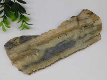 Rectangular Banded Rock Slab ? 170 Grams ROCK STONE LAPIDARY SPECIMEN