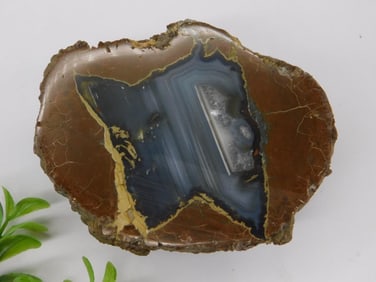 Thunder Egg Agate Rock Stone Lapidary Specimen