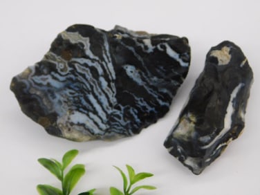 Zebra Rock Stone Lapidary Specimen