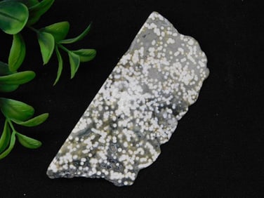 Ocean Jasper Rock Stone Lapidary Specimen