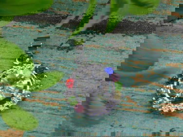 GENUINE STONE PENDANT ROCK STONE LAPIDARY SPECIMEN