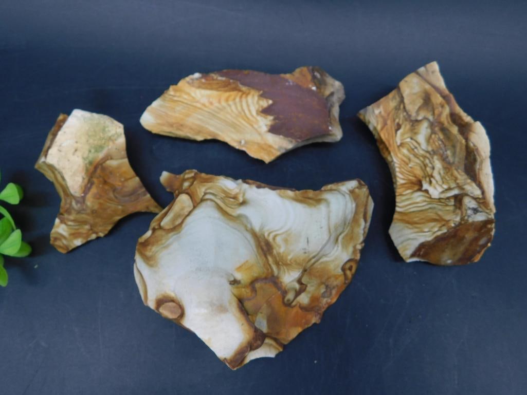 JASPER ROCK STONE LAPIDARY SPECIMEN: JASPER ROCK STONE LAPIDARY SPECIMEN