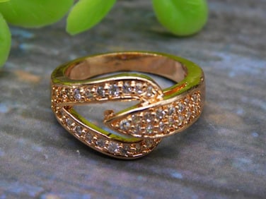 STONE RING ROCK STONE LAPIDARY SPECIMEN