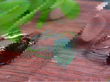 STONE RING ROCK STONE LAPIDARY SPECIMEN