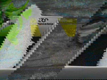 CUARZO ROCK STONE LAPIDARY SPECIMEN